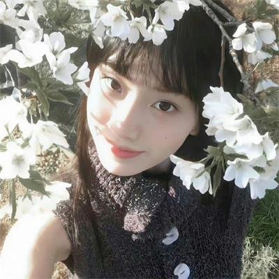 容易受伤的玫瑰