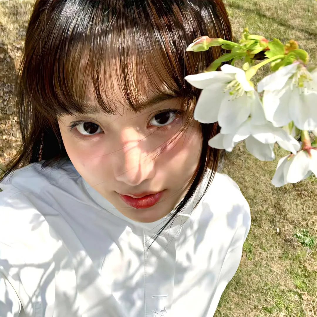愤怒鸟玩电影3